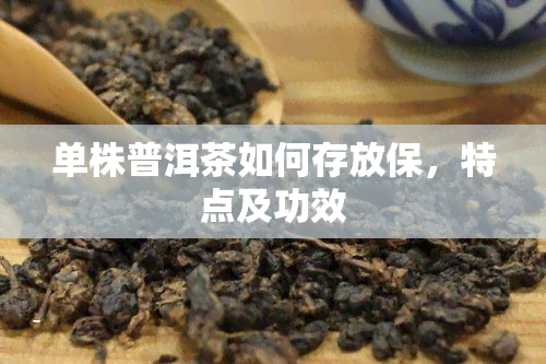 单株普洱茶如何存放保，特点及功效