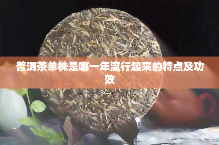 普洱茶单株是哪一年流行起来的特点及功效