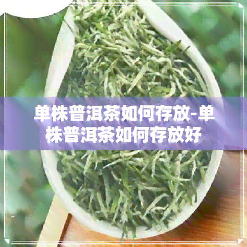 单株普洱茶如何存放-单株普洱茶如何存放好