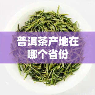 普洱茶产地在哪个省份