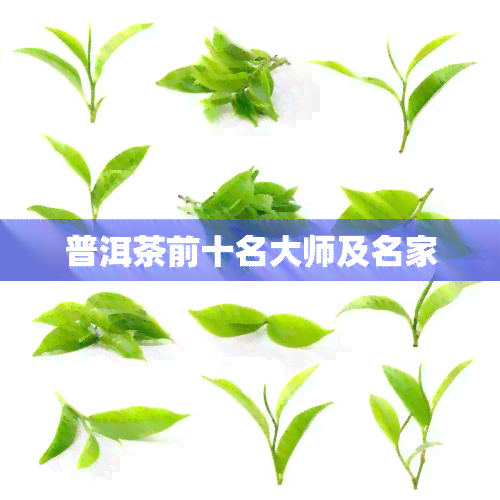 普洱茶前十名大师及名家