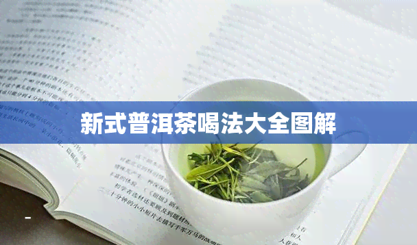 新式普洱茶喝法大全图解