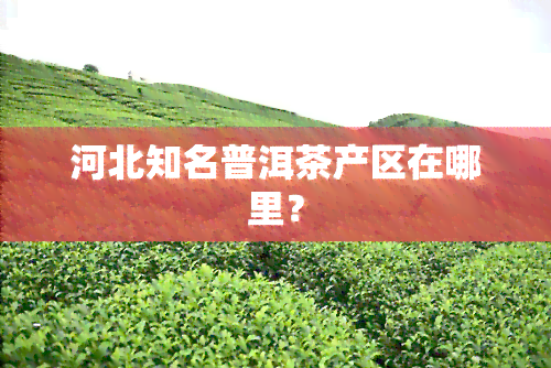 河北知名普洱茶产区在哪里？