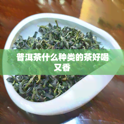 普洱茶什么种类的茶好喝又香