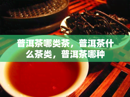 普洱茶哪类茶，普洱茶什么茶类，普洱茶哪种