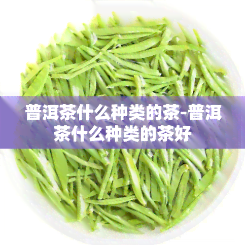 普洱茶什么种类的茶-普洱茶什么种类的茶好