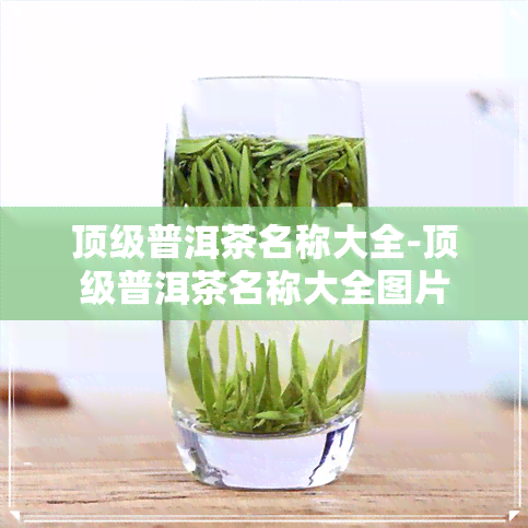 顶级普洱茶名称大全-顶级普洱茶名称大全图片