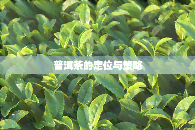 普洱茶的定位与策略