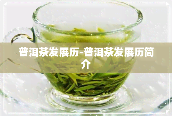 普洱茶发展历-普洱茶发展历简介