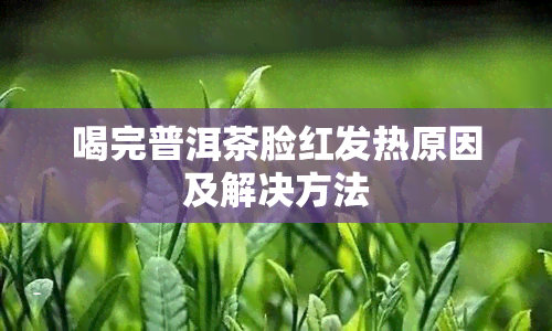 喝完普洱茶脸红发热原因及解决方法