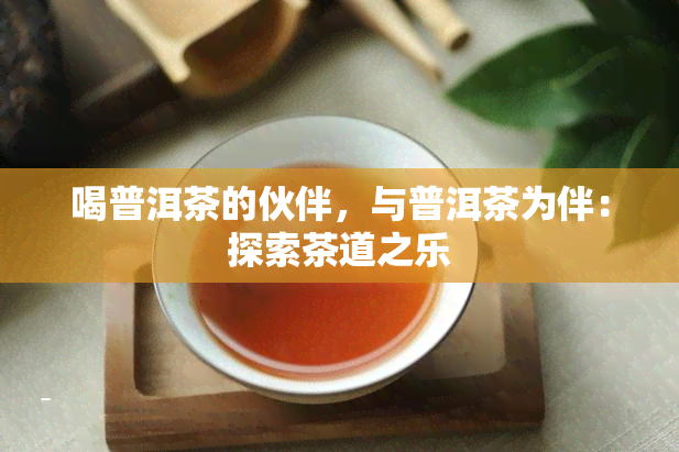 喝普洱茶的伙伴，与普洱茶为伴：探索茶道之乐