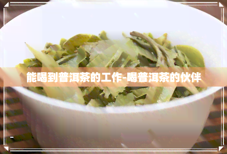 能喝到普洱茶的工作-喝普洱茶的伙伴