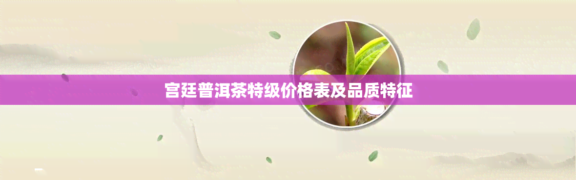 宫廷普洱茶特级价格表及品质特征