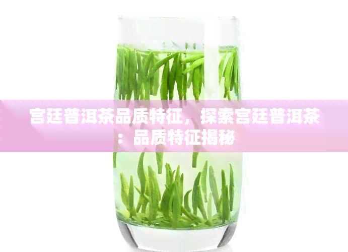 宫廷普洱茶品质特征，探索宫廷普洱茶：品质特征揭秘