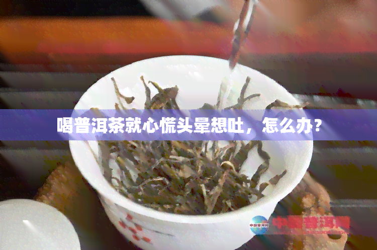 喝普洱茶就心慌头晕想吐，怎么办？