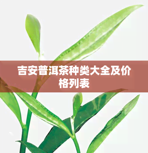 吉安普洱茶种类大全及价格列表