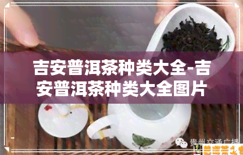 吉安普洱茶种类大全-吉安普洱茶种类大全图片