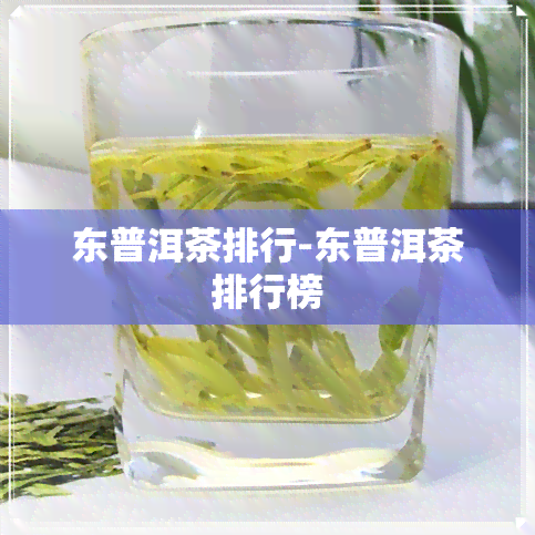 东普洱茶排行-东普洱茶排行榜