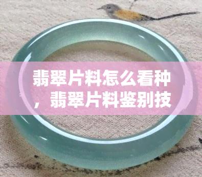 翡翠片料怎么看种，翡翠片料鉴别技巧：如何准确判断翡翠的品种？