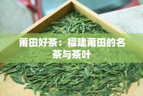 莆田好茶：福建莆田的名茶与茶叶