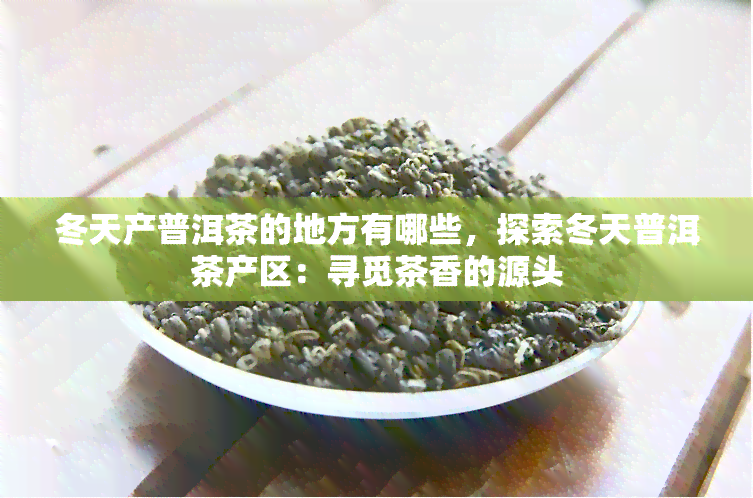 冬天产普洱茶的地方有哪些，探索冬天普洱茶产区：寻觅茶香的源头