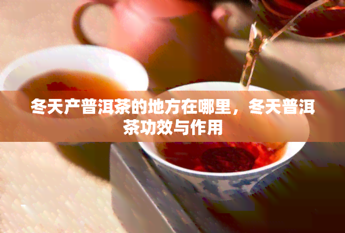 冬天产普洱茶的地方在哪里，冬天普洱茶功效与作用