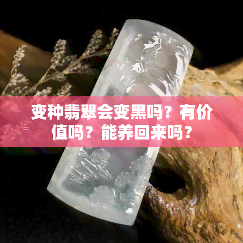 变种翡翠会变黑吗？有价值吗？能养回来吗？