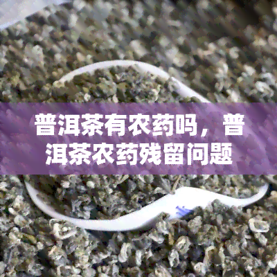 普洱茶有农吗，普洱茶农残留问题揭秘：你所不知道的真相！