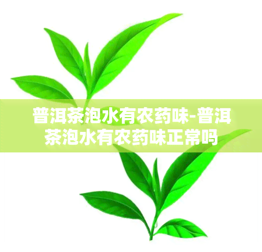 普洱茶泡水有农味-普洱茶泡水有农味正常吗