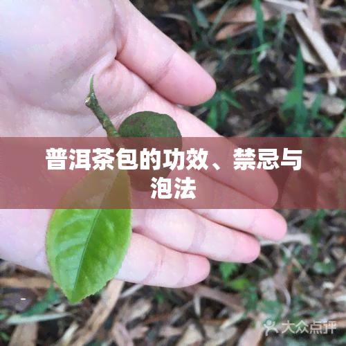 普洱茶包的功效、禁忌与泡法