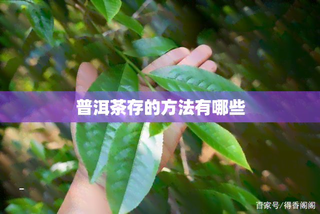 普洱茶存的方法有哪些