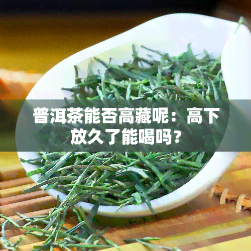 普洱茶能否高藏呢：高下放久了能喝吗？