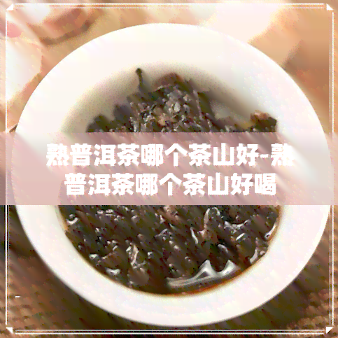 熟普洱茶哪个茶山好-熟普洱茶哪个茶山好喝