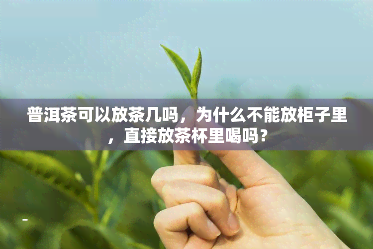 普洱茶可以放茶几吗，为什么不能放柜子里，直接放茶杯里喝吗？