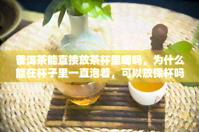 普洱茶能直接放茶杯里喝吗，为什么能在杯子里一直泡着，可以放保杯吗