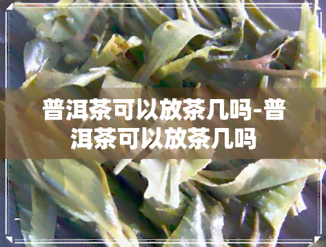 普洱茶可以放茶几吗-普洱茶可以放茶几吗