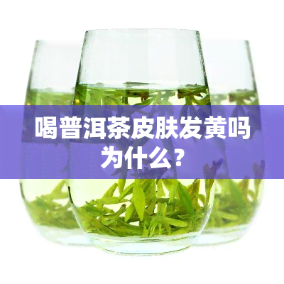 喝普洱茶皮肤发黄吗为什么？