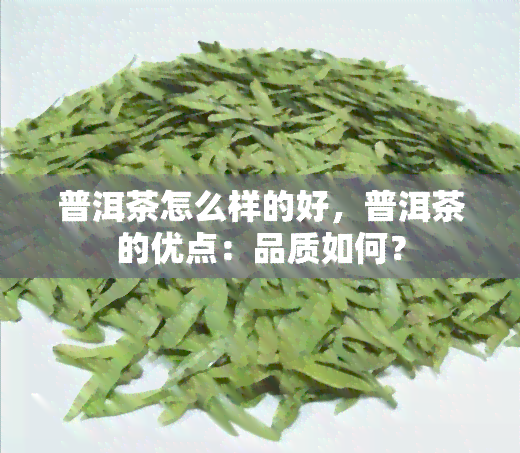 普洱茶怎么样的好，普洱茶的优点：品质如何？