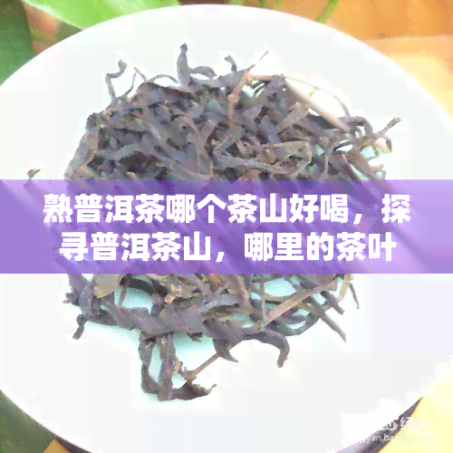 熟普洱茶哪个茶山好喝，探寻普洱茶山，哪里的茶叶更醇香？