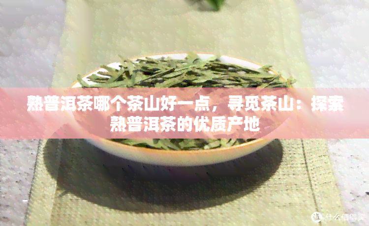 熟普洱茶哪个茶山好一点，寻觅茶山：探索熟普洱茶的优质产地