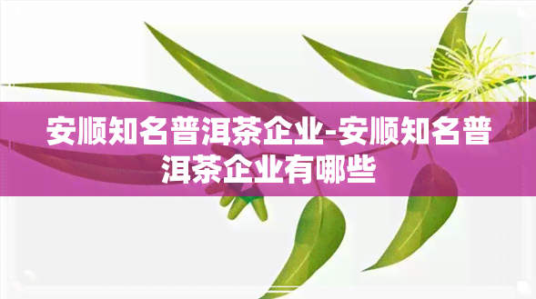 安顺知名普洱茶企业-安顺知名普洱茶企业有哪些