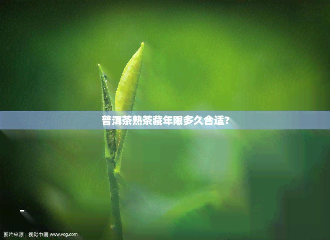 普洱茶熟茶藏年限多久合适？