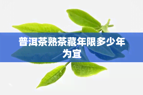 普洱茶熟茶藏年限多少年为宜