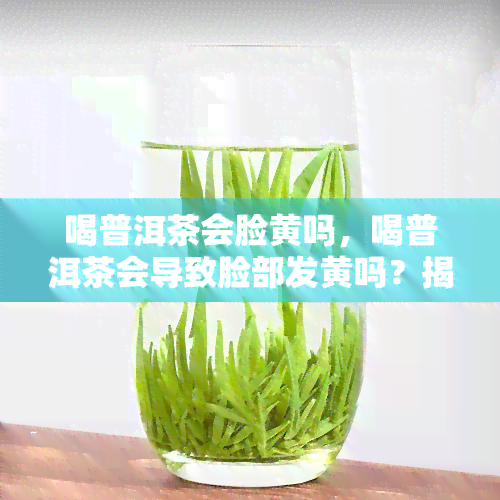 喝普洱茶会脸黄吗，喝普洱茶会导致脸部发黄吗？揭秘茶叶与肤色之间的关系