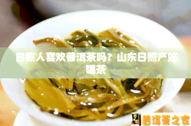 日照人喜欢普洱茶吗？山东日照产好喝茶