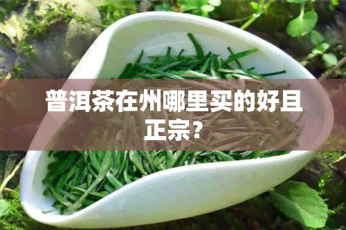 普洱茶在州哪里买的好且正宗？