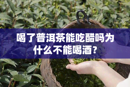 喝了普洱茶能吃醋吗为什么不能喝？