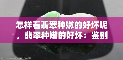 怎样看翡翠种嫩的好坏呢，翡翠种嫩的好坏：鉴别技巧解析