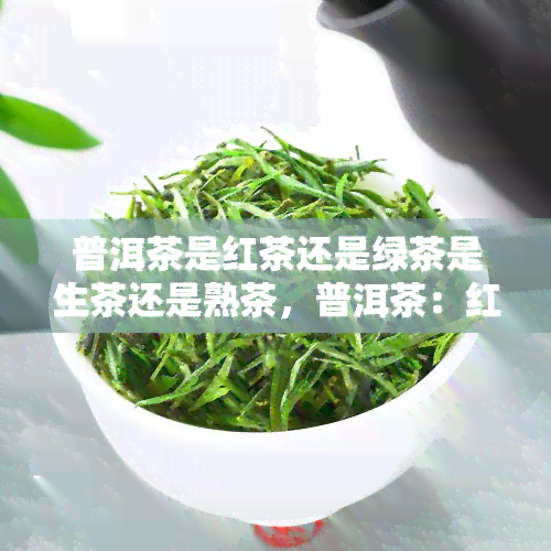 普洱茶是红茶还是绿茶是生茶还是熟茶，普洱茶：红茶还是绿茶？生茶还是熟茶？一文解答