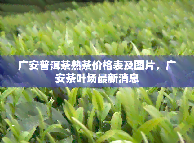 广安普洱茶熟茶价格表及图片，广安茶叶场最新消息